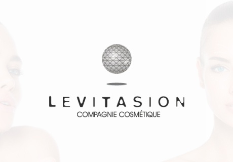 Разработка сайта Levitasion